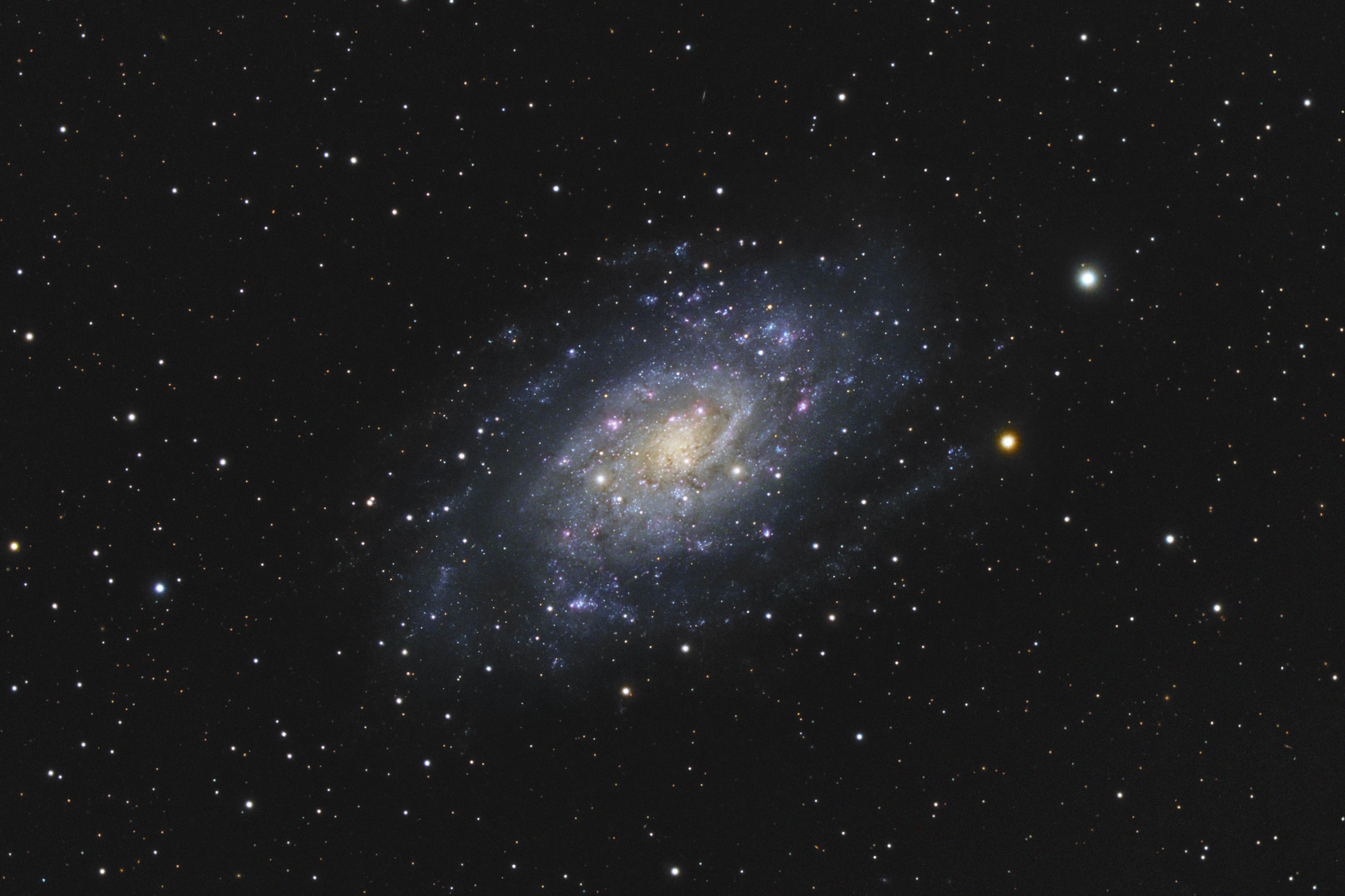 ngc4236