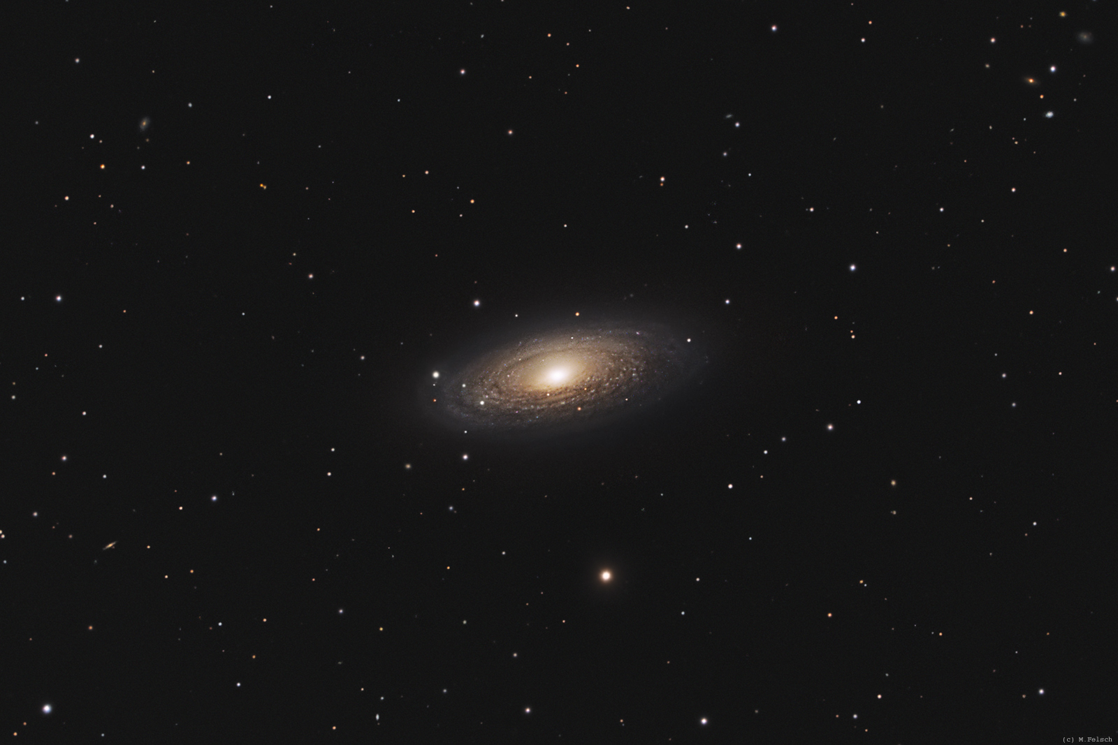 ngc2841