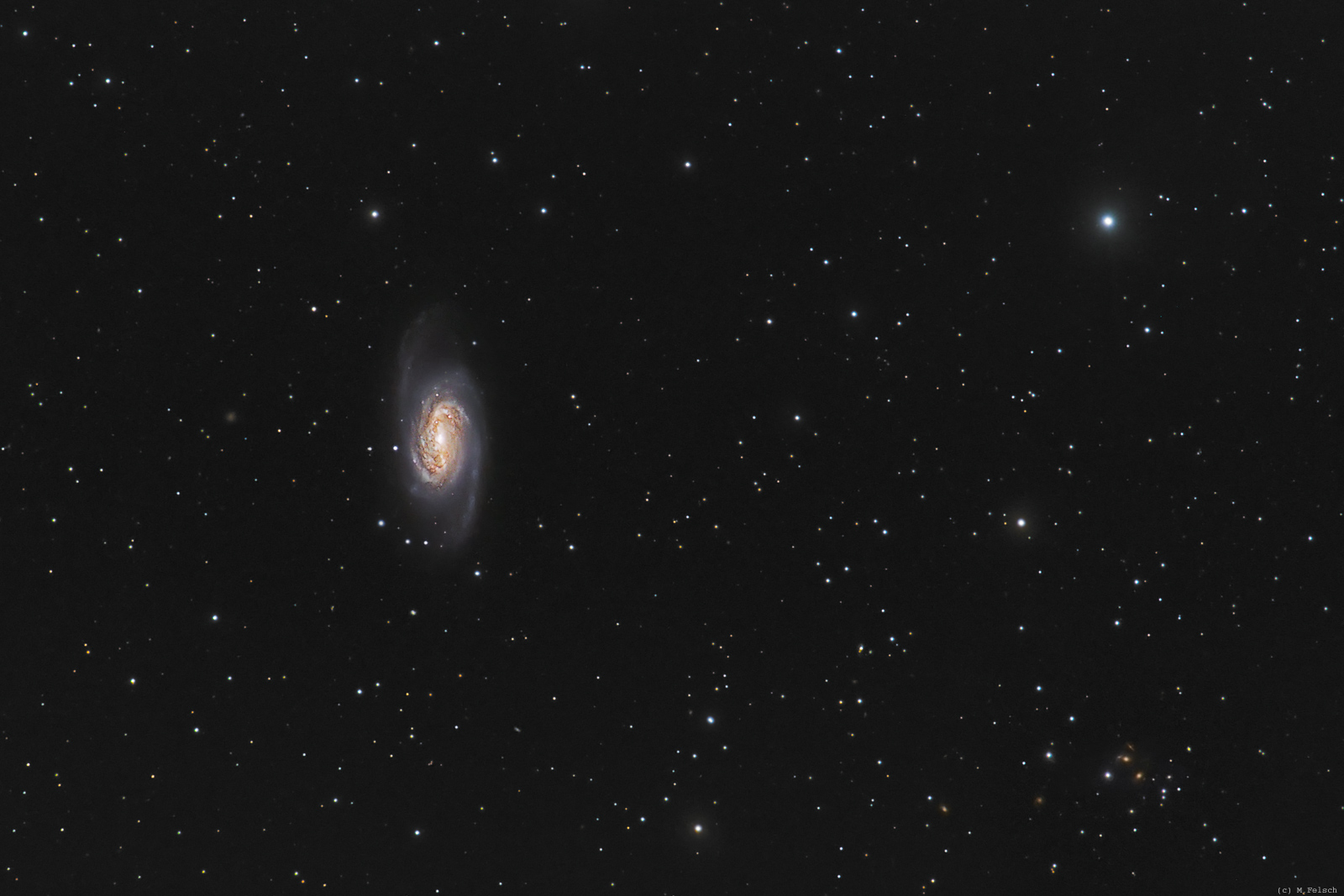 ngc2903