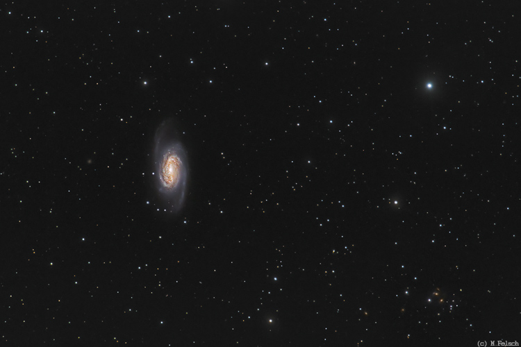 ngc 2903 im Feld