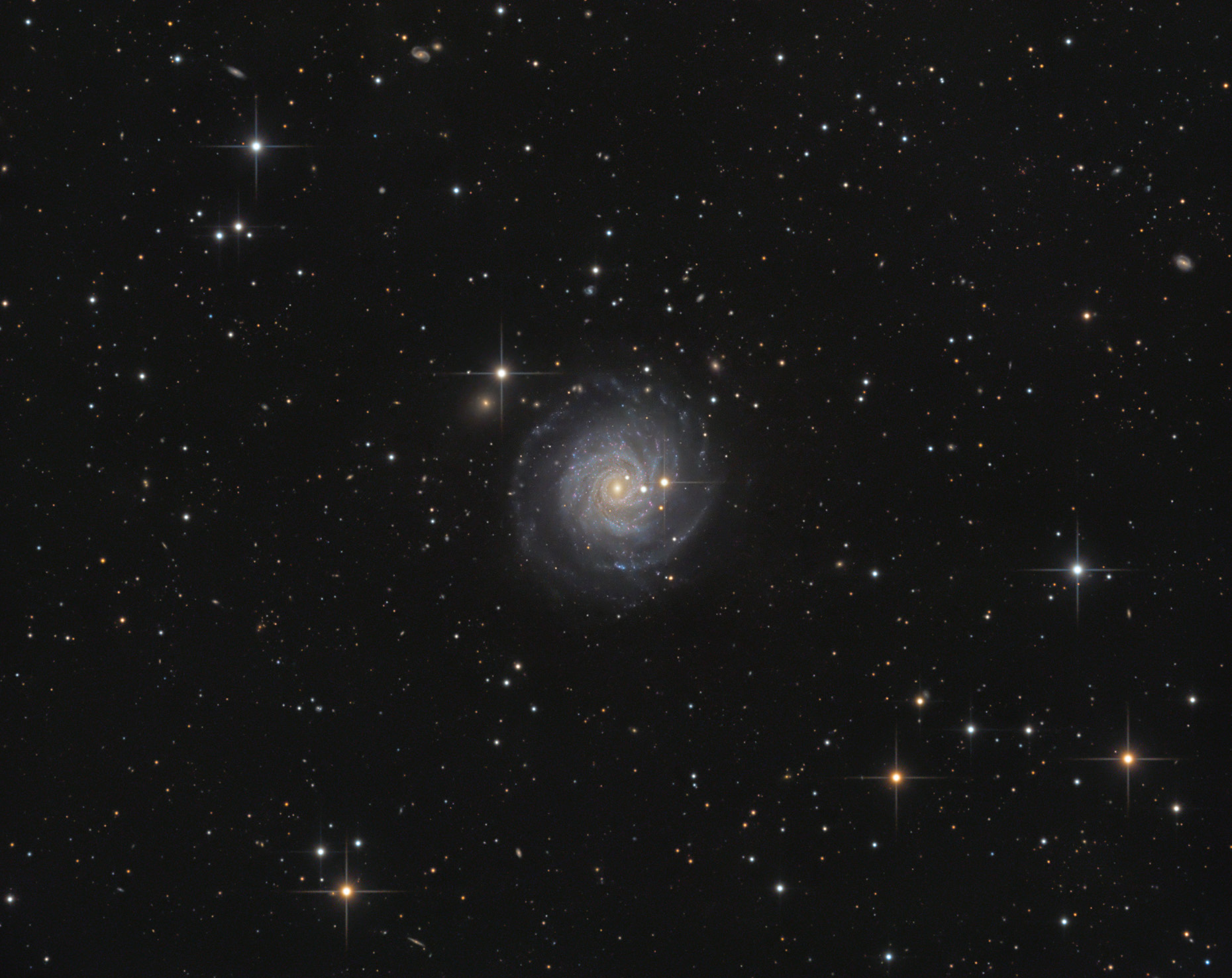 ngc3344