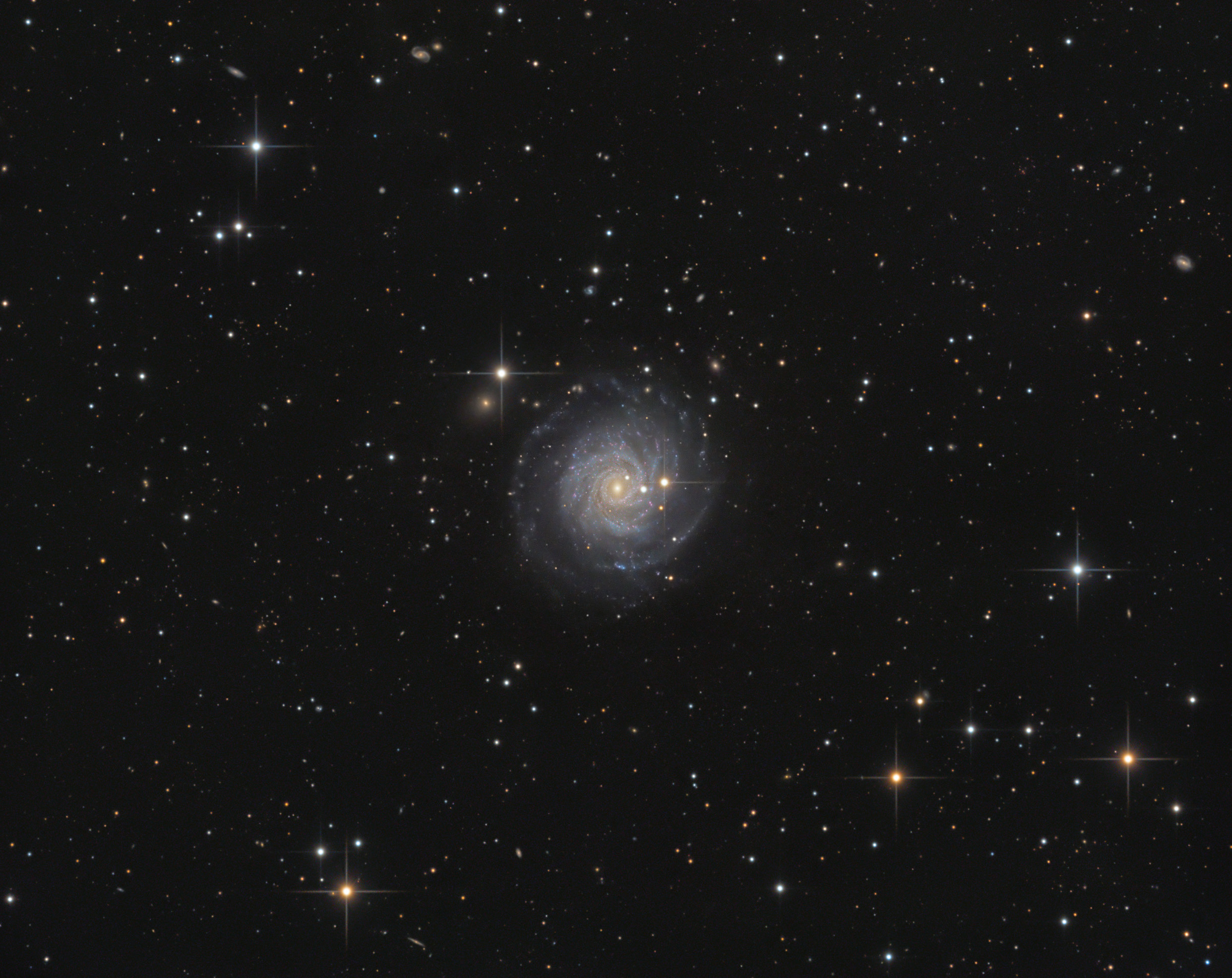 ngc3344