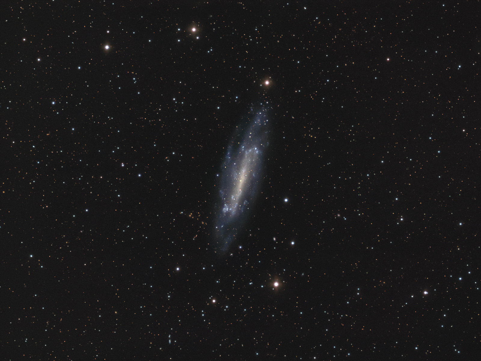 ngc4236