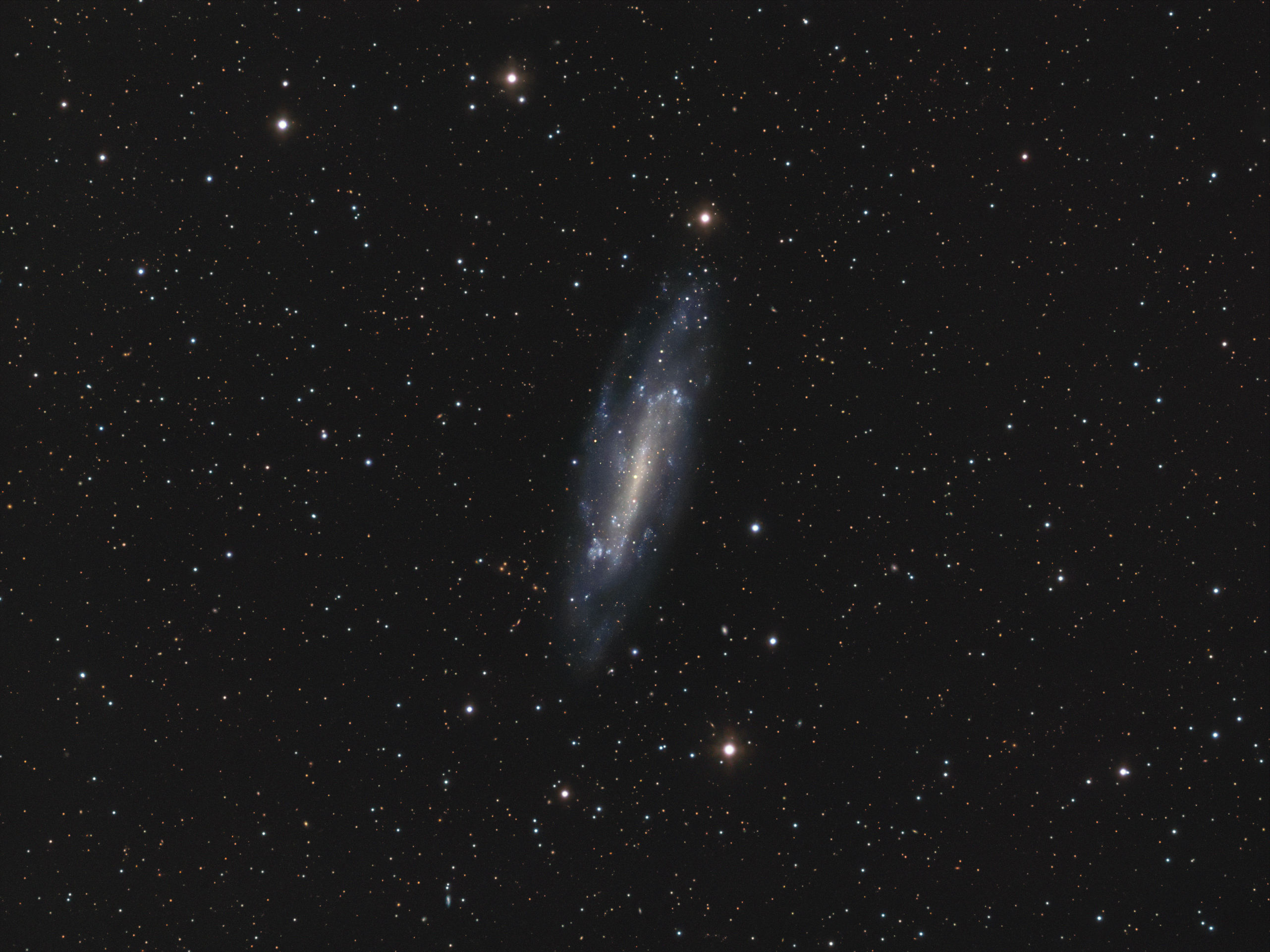 ngc4236