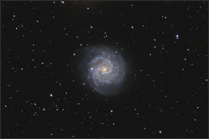 ngc 3184 thumbnail