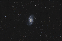 ngc 3359 thumbnail