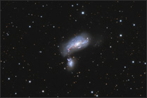 ngc 4490 thumbnail